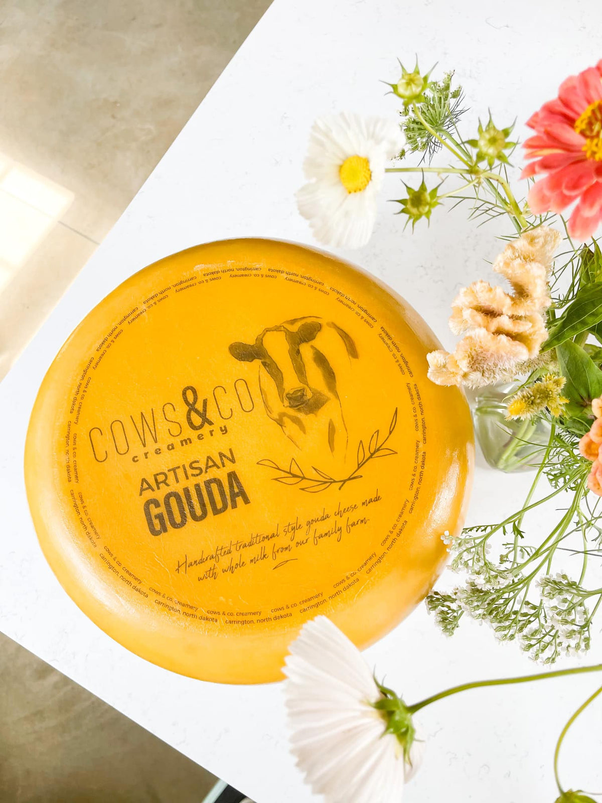 Cows & Co. Aged Variety Shipping Box Cows and Co Creamery